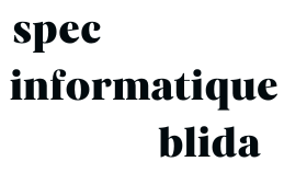 specinformatiqueblida.com